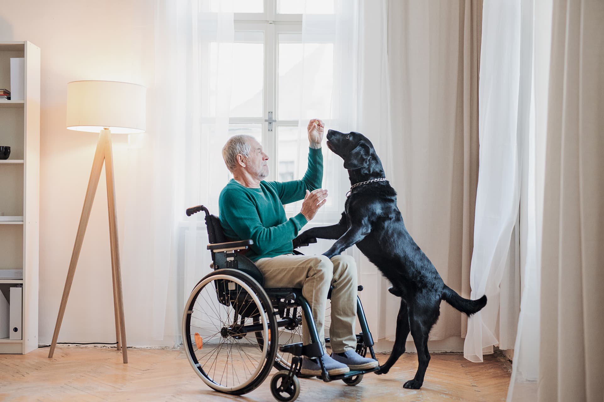 Ein im Rollstuhl sitzender Senior spielt zuhause mit seinem Hund Ein im Rollstuhl sitzender Senior spielt zuhause mit seinem Hund